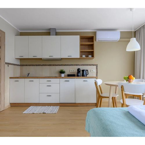 Apartament 3-osobowy Studio z 1 pomieszczeniem sypialnianym