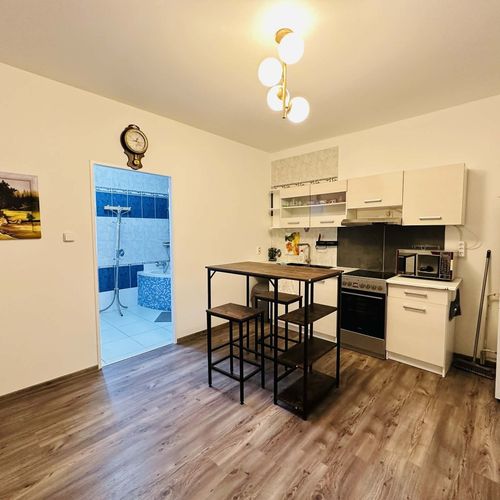 Apartament cu 1 camera pentru 3 pers.