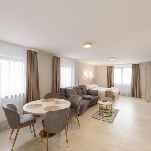 Apartament cu 1 camera pentru 3 pers.