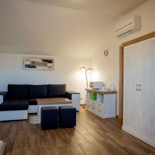 Apartman se sprchou se společnou kuchyňkou s manželskou postelí s 1 ložnicí (s možností přistýlky)