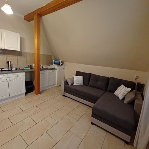 Apartament la mansardă cu vedere spre grădină cu 1 camera pentru 3 pers. (se poate solicita pat suplimentar)