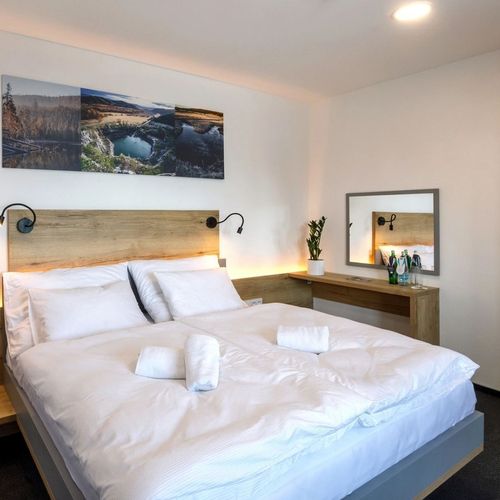 Apartament deluxe cu 1 camera pentru 2 pers.