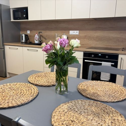 Apartament 2-osobowy z łazienką z własną kuchnią z 1 pomieszczeniem sypialnianym
