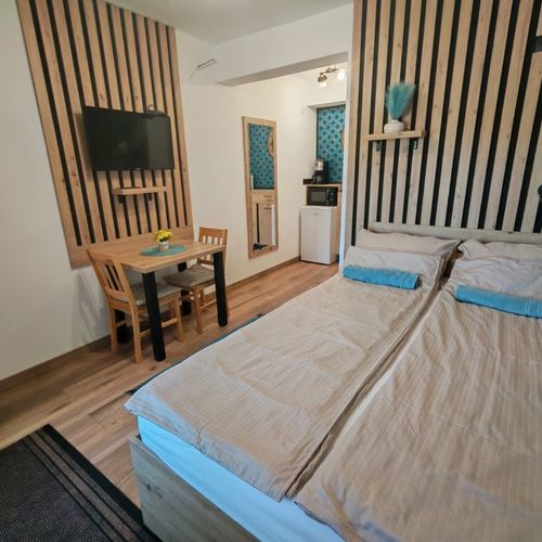 Apartament studio cu chicinetă proprie pentru 2 pers. (se inchirieaza doar integral) (se poate solicita pat suplimentar)