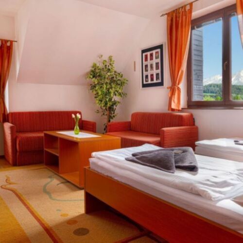 Apartament cu 2 camere pentru 4 pers. (se poate solicita pat suplimentar)