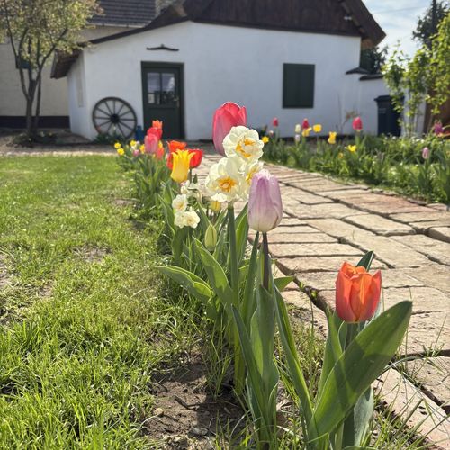 Gospodarstwo agroturystyczne 3-osobowy na parterze Romantyczny