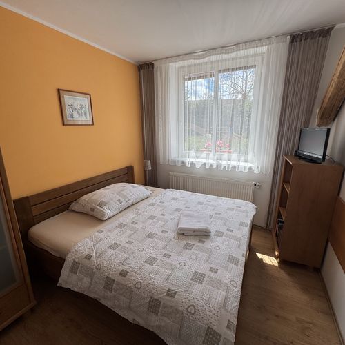 Pokoj s manželskou postelí s výhledem do zahrady