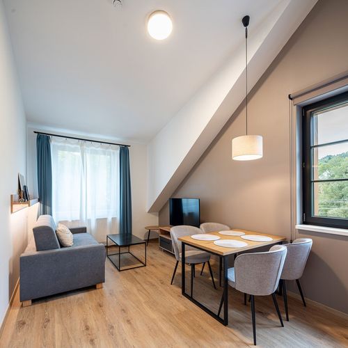 Premier  Apartman s manželskou postelí s 1 ložnicí (s možností přistýlky)