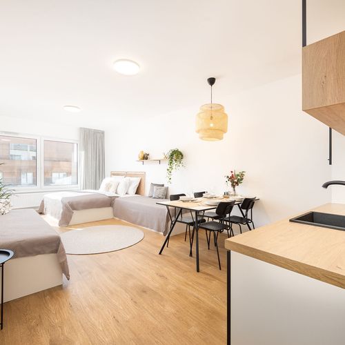 Apartament cu 1 camera pentru 4 pers.