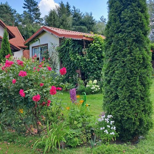 Cabană la parter cu terasă pentru 2 pers. (se inchirieaza doar integral)