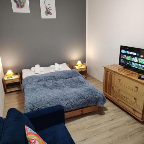 Apartament pentru 5 pers. (se inchirieaza doar integral)