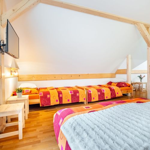 Apartament la parter cu vedere spre munte cu 1 camera pentru 5 pers.