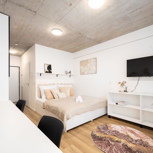 Apartament cu 1 camera pentru 2 pers.