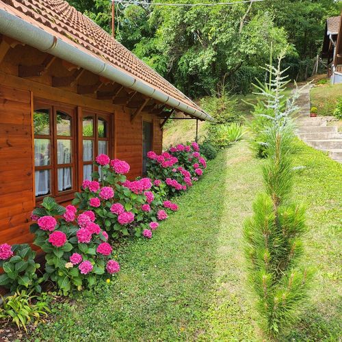 Întreaga unitate întreaga unitate cu vedere spre pădure pentru 16 pers. (se inchirieaza doar integral)