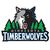 Minnesota Timberwolves