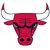 Chicago Bulls