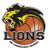 BK Lions Jindrichuv Hradec