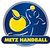 Metz Handball