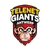 Telenet Giants Antwerpia