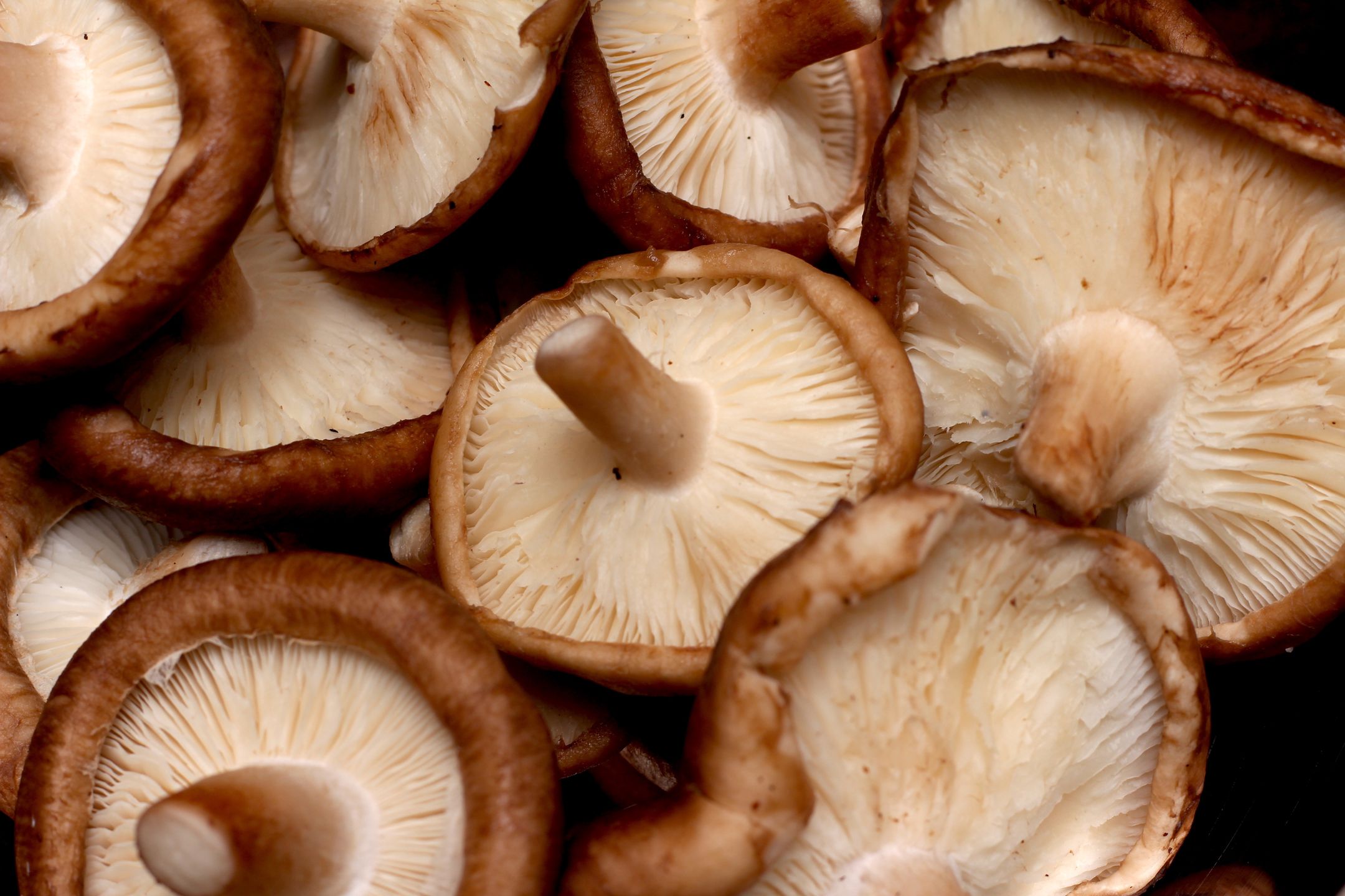Shiitake: The superfood mushroom taking over kitchens