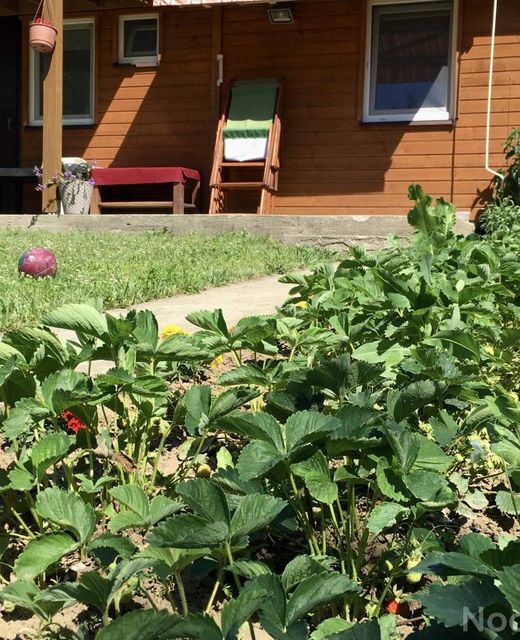 Domek i apartamenty w Mikołajkach