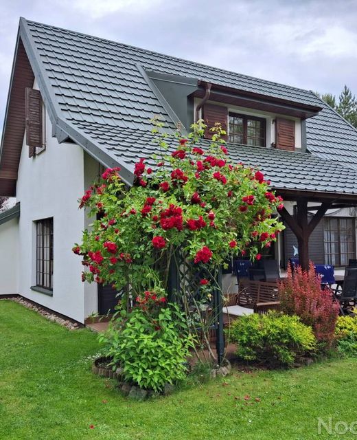 Dom Do Wynajęcia Zacisze