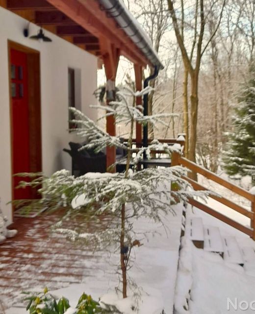 Borówkowa Dolina