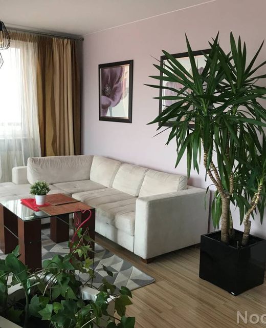 Apartament Kawowy