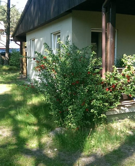 Domek Letniskowy
