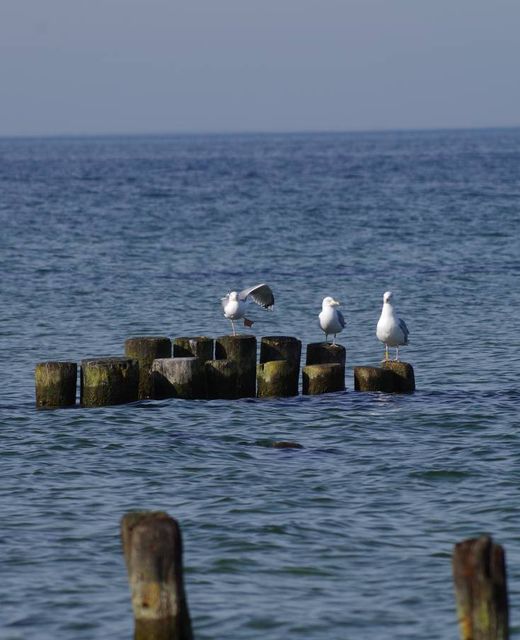 Baltic Bay