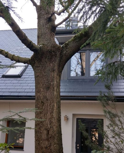 Apartament Martushka