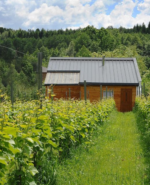 Agroturystyka i Winnica Granice