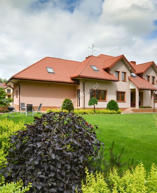 Pokoje do wynajęcia Akacja