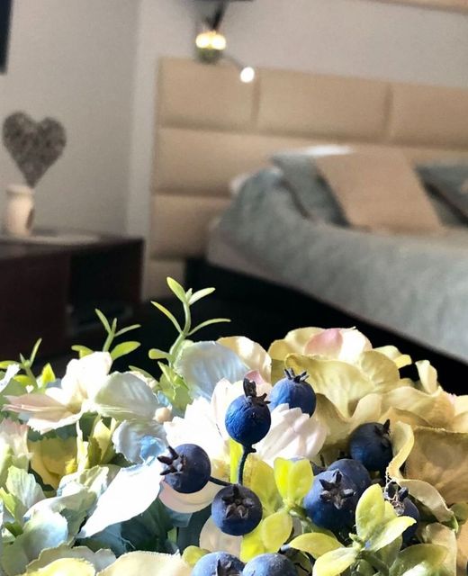 Apartament Elie