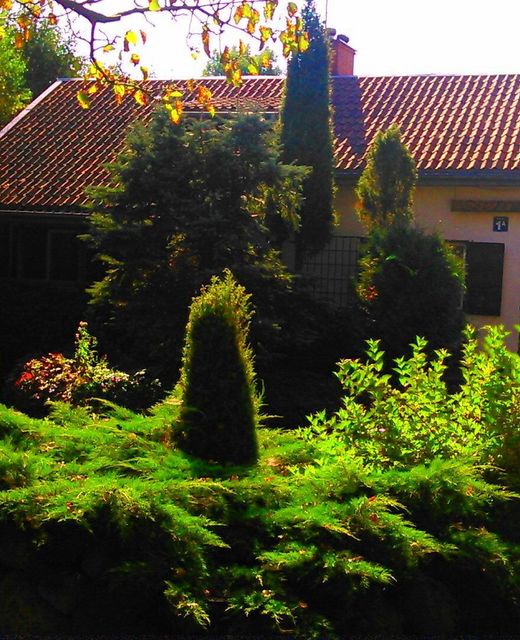 Dom Sielanka oraz domek drewniany bezpośrednio nad jeziorem koło Ełku