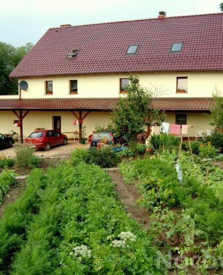 Ekokrasnoludki