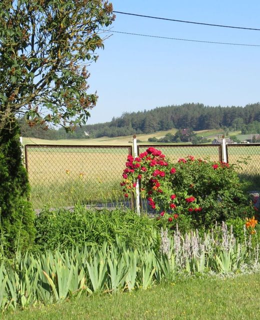 Agroturystyka u Danusi