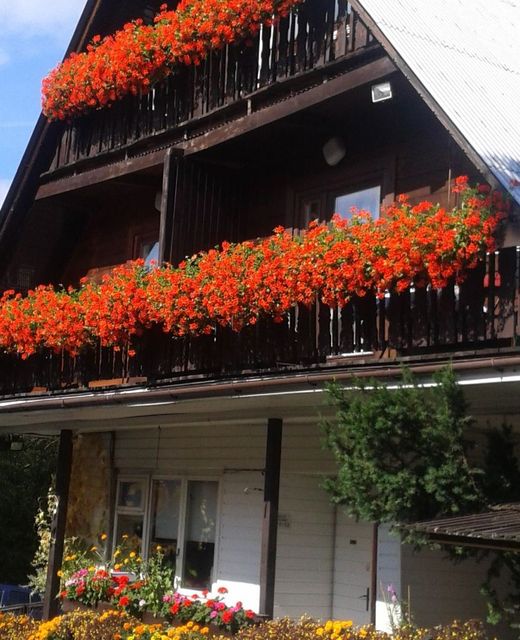 Domapol ścisłe centrum Zakopane