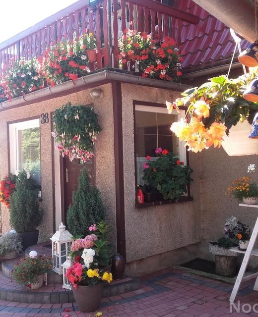 Agroturystyka Jaworowy Domek