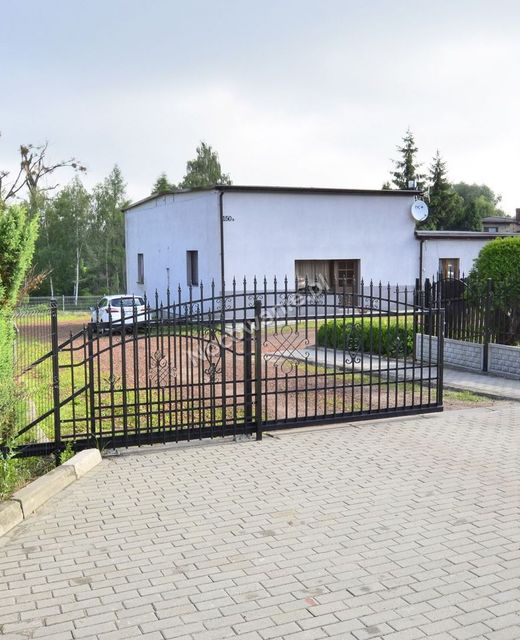 Turystyka u Henryka