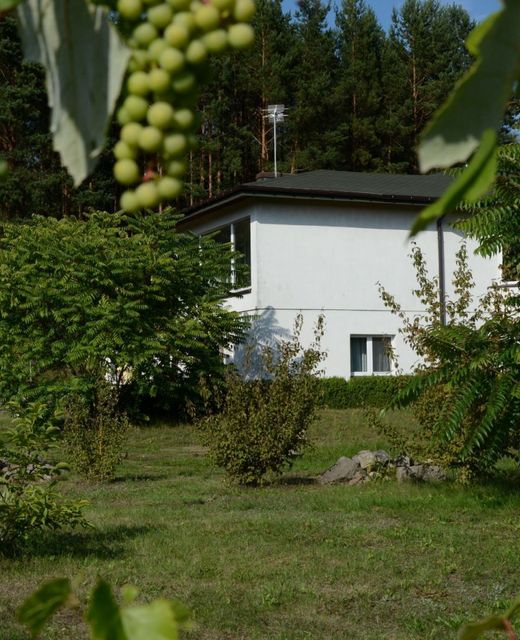 Ignacówka