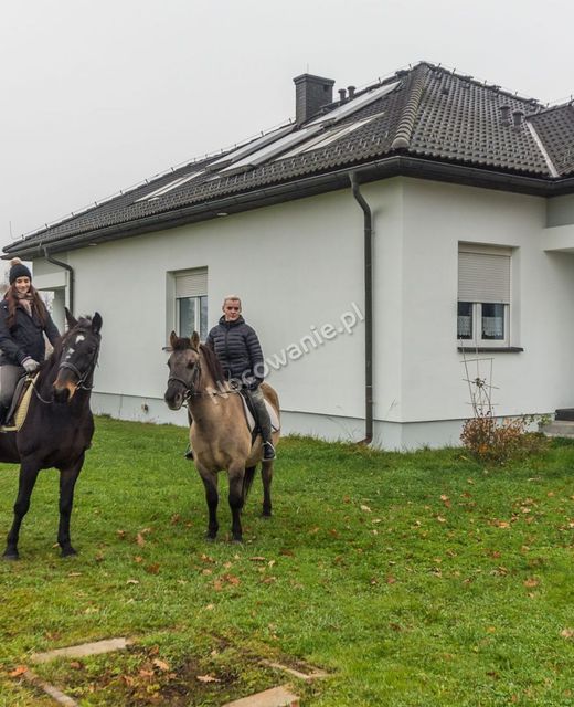 Agroturystyka  Mustang