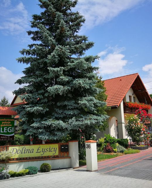 Dolina Łysicy