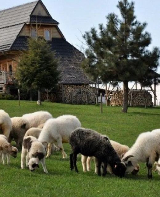 Dom góralski pod owieczkami - Ząb