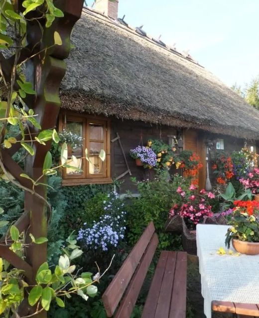 Chata pod strzechą Zalesie Królewskie Bory Tucholskie
