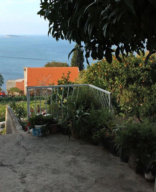 Apartments With Parking Space Plat, Dubrovnik - 4776 Plat