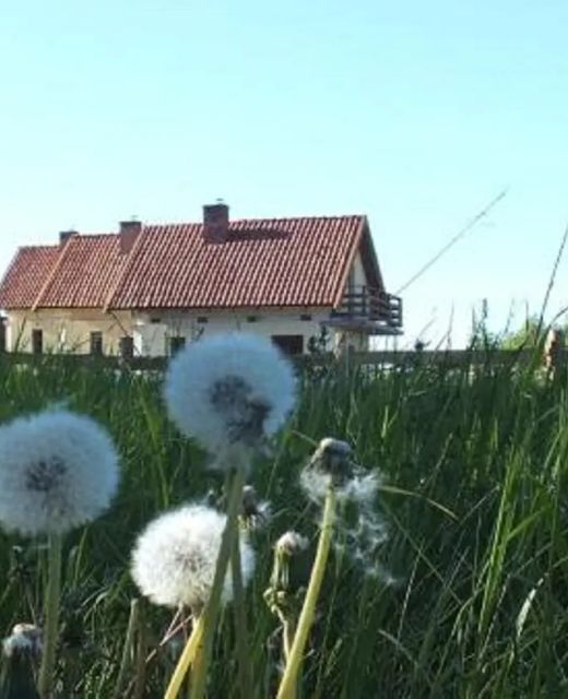 Domki na Mazurach Kurka Wodna Mikołajki