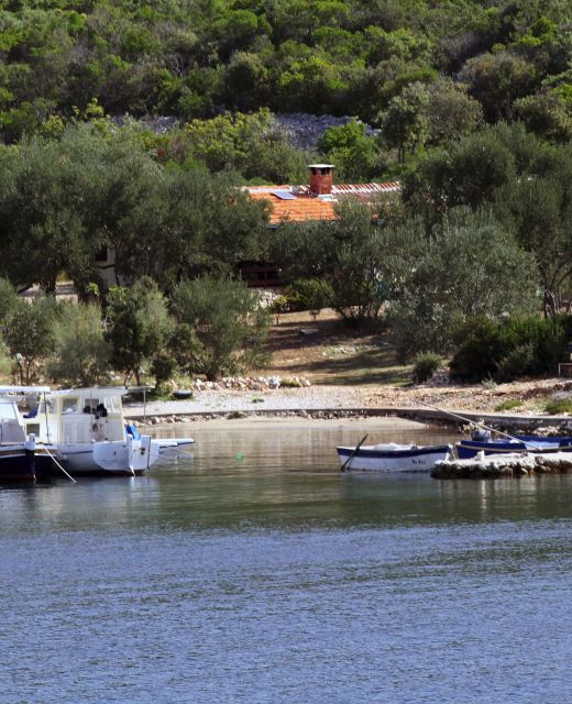 Seaside House For Families With Children Cove Kobiljak, Pašman - 320 Kobiljak