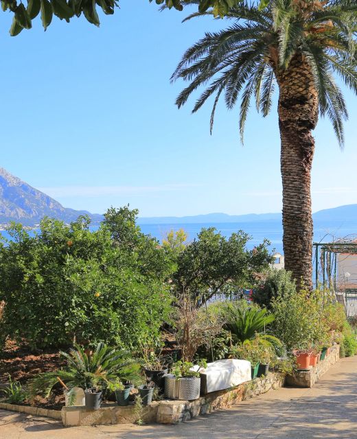 Apartments By The Sea Podaca, Makarska - 11588 Podaca