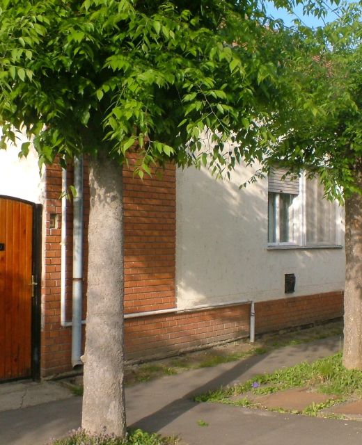 Pappné Jutka Vendégháza Gyula